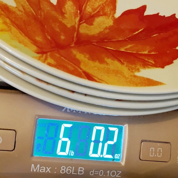 Porcelain 4 Fall Harvest Rustic Leaves Dinner Plates - Picture 6 of 6